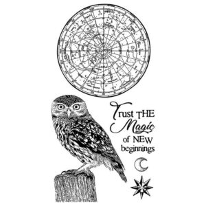 Stamperia - Cosmos Owl - Stimplar