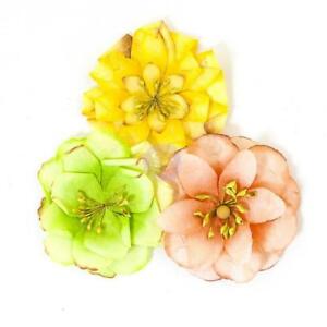Prima - JOLI - Lime
