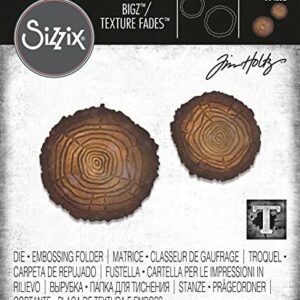 Sizzix - Tim Holtz - Skurðarmót - Tree Rings Mini - BIGZ +Embossing folder