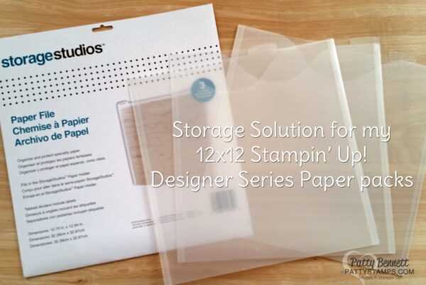 Storage Studios - 12x12 plast umslög