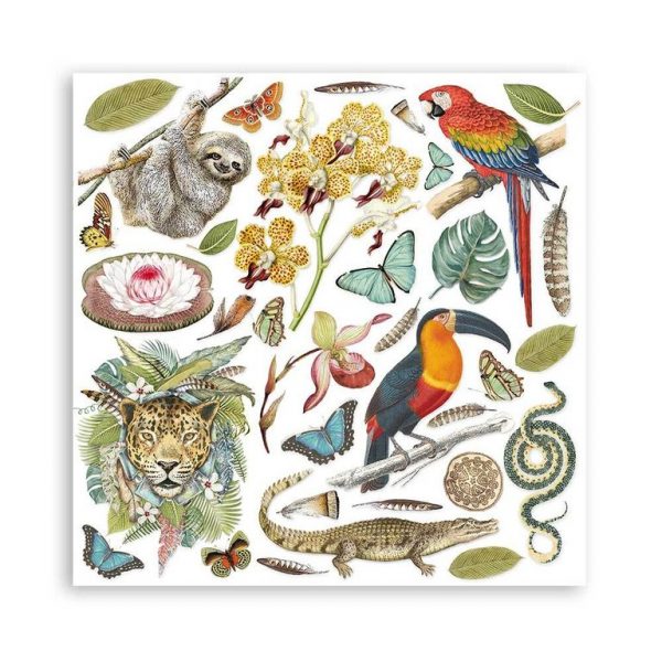Stamperia - Amazonia - 12x12 - Image 4
