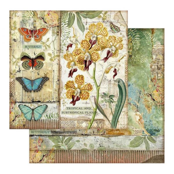 Stamperia - Amazonia - 12x12 - Image 12