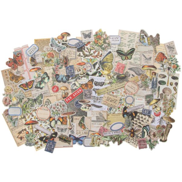 Ephemera pack – Tim Holtz – Field Notes Snippets - Image 2