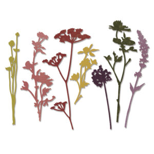 Sizzix - Tim Holtz - Skurðarmót - Wildflower #1