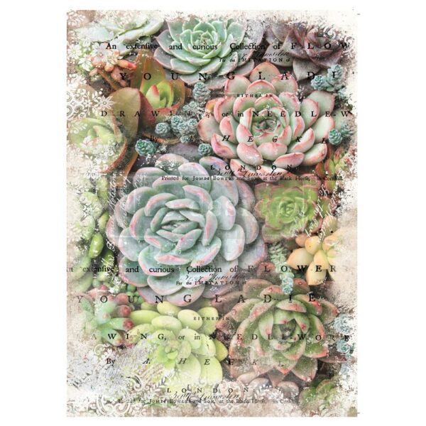 Re-Design - Decor Tissue Paper - Zuri