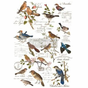 Re-Design Decor Transfers - Postal Birds 24" x 35"
