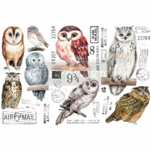 Re-Design Decor Transfers - Owl 6" x 12"