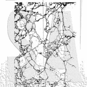 Tim Holtz - Stimplasett - Shattered