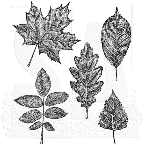 Tim Holtz - Stimplasett - Sketchy Leaves