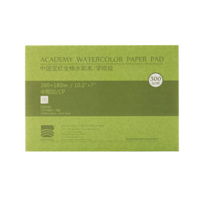 BAOHONG Watercolor Block, 100% Cotton, 140LB/300GSM Cold Press 26cmx18cm