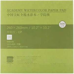 BAOHONG Watercolor Block, 100% Cotton, 140LB/300GSM Cold Press 26cmx26cm
