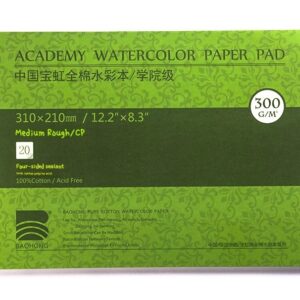 BAOHONG Watercolor Block, 100% Cotton, 140LB/300GSM Cold Press 31cmx21cm A4